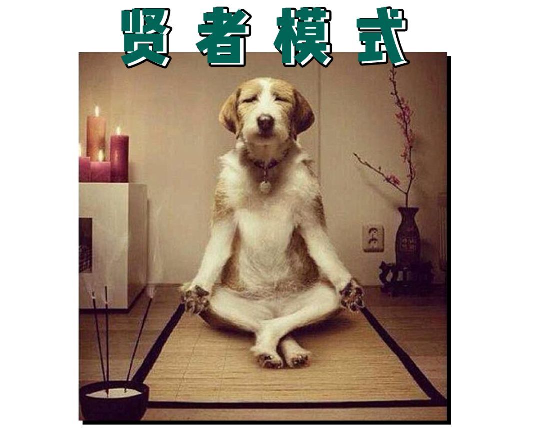 快乐冲图:萌新食用指南-图萌社